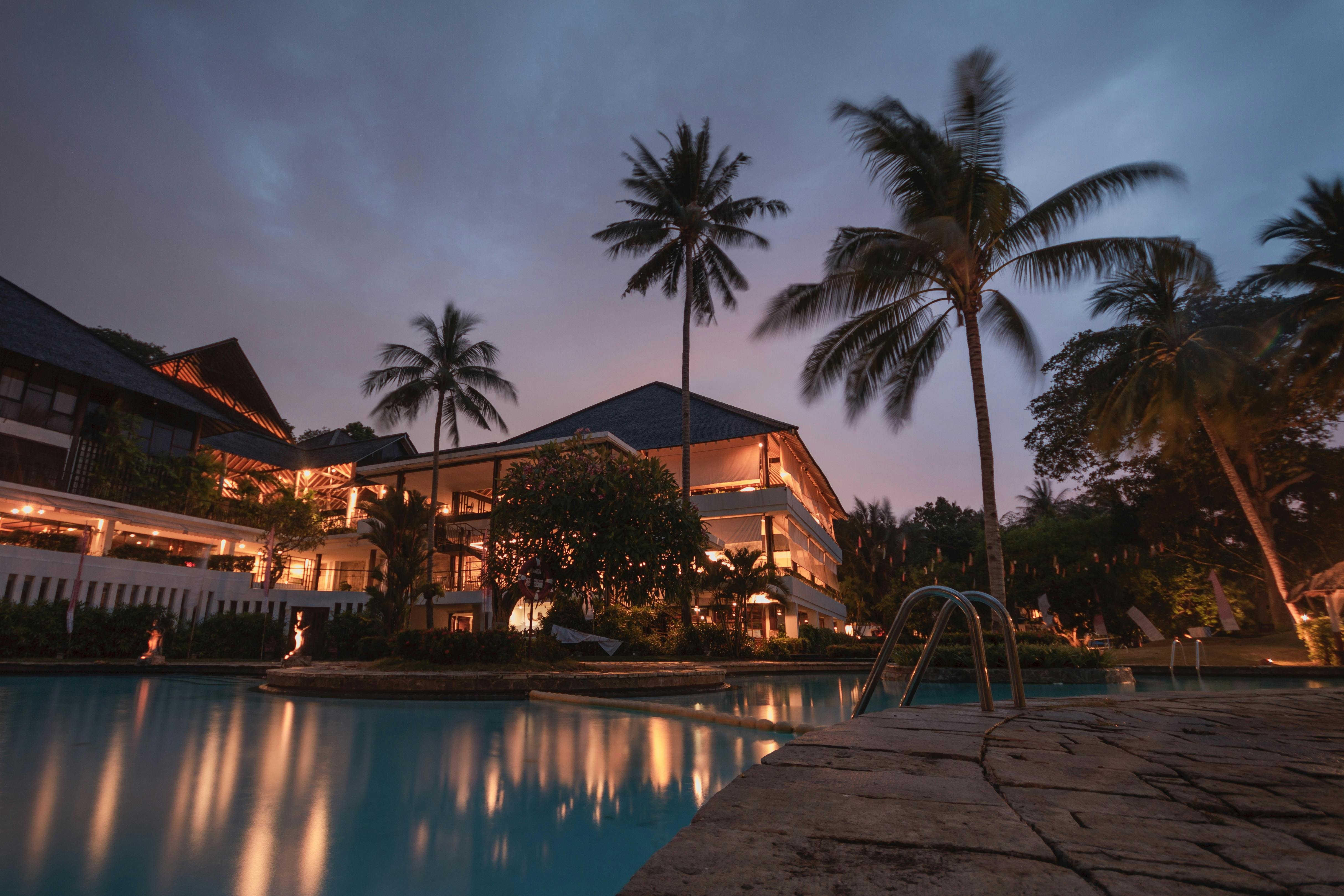 Bonnes adresses Pet-friendly